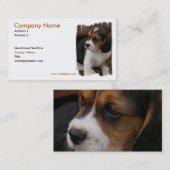 Carte de visite de chiot de beagle (Devant / Derrière)