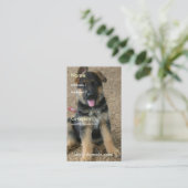 Carte de visite de chiot de berger allemand (Debout devant)