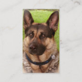 Carte de visite de chiot de berger allemand (Dos)