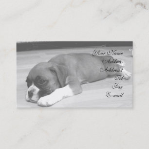 carte de visite de chiot de boxe