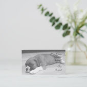 carte de visite de chiot de boxe (Debout devant)