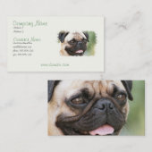 Carte de visite de chiot de carlin (Devant / Derrière)