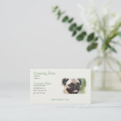 Carte de visite de chiot de carlin (Debout devant)