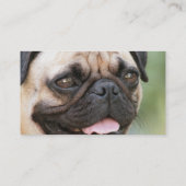 Carte de visite de chiot de carlin (Dos)