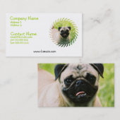 Carte de visite de chiot de carlin (Devant / Derrière)