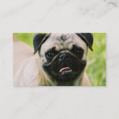 Carte de visite de chiot de carlin (Dos)