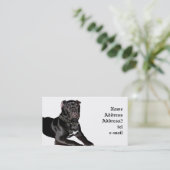 Carte de visite de chiot de corso de canne (Debout devant)