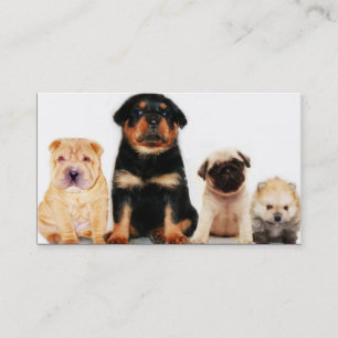 Carte de visite de chiots