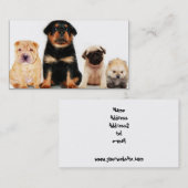 Carte de visite de chiots (Devant / Derrière)