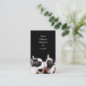 Carte de visite de chiots de bouledogue français (Debout devant)