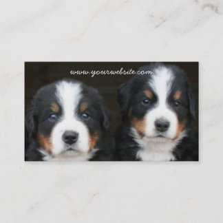 Carte de visite de chiots de chien de montagne de