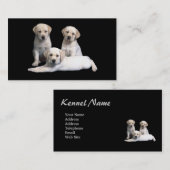 Carte de visite de chiots de labrador retriever (Devant / Derrière)