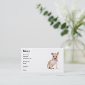 Carte de visite de chiwawa (Debout devant)