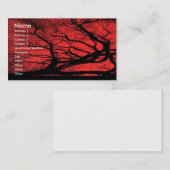 Carte de visite de ciel de Viking (Devant / Derrière)