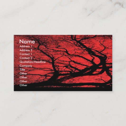 Carte de visite de ciel de Viking (Devant)