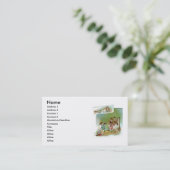 Carte de visite de Cinderella Fairytale (Debout devant)