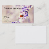 Carte de visite de coccinelle (Devant / Derrière)