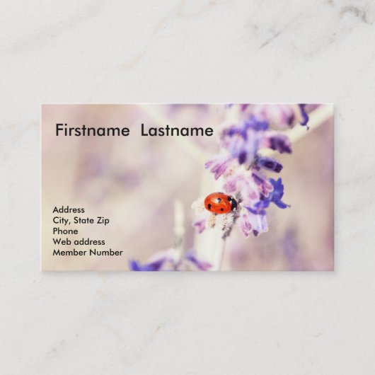 Carte de visite de coccinelle (Devant)