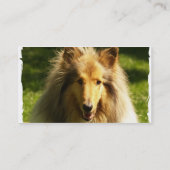 Carte de visite de colley (Dos)