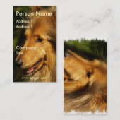 Carte de visite de colley (Devant / Derrière)