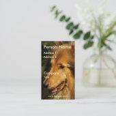 Carte de visite de colley (Debout devant)