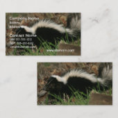 Carte de visite de comportement de mouffette (Devant / Derrière)