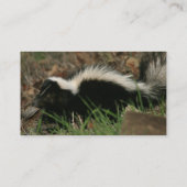 Carte de visite de comportement de mouffette (Dos)