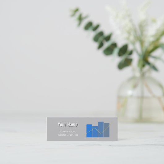 Carte de visite de comptabilité financière (Debout devant)