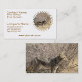 Carte de visite de conception de coyote (Devant / Derrière)