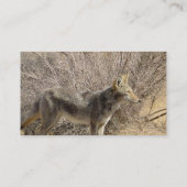Carte de visite de conception de coyote (Dos)