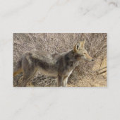 Carte de visite de conception de coyote (Dos)