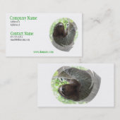 Carte de visite de conception de photo de paresse (Devant / Derrière)