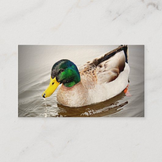 Carte de visite de conserve de delta (Devant)