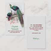 carte de visite de couples de paon (Devant / Derrière)