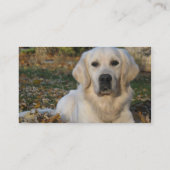 Carte de visite de coutume de chien de golden (Dos)