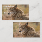 Carte de visite de coyote (Devant / Derrière)
