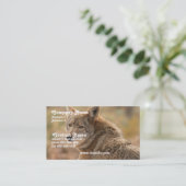Carte de visite de coyote (Debout devant)