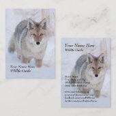 Carte de visite de coyote de guide de faune (Devant / Derrière)