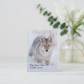Carte de visite de coyote de guide de faune (Debout devant)