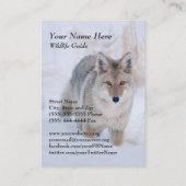 Carte de visite de coyote de guide de faune (Dos)