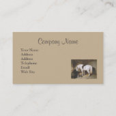 Carte de visite de cru de cheval (Dos)