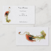 Carte de visite de cru de Flamant rose (Devant / Derrière)