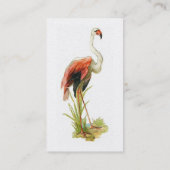 Carte de visite de cru de Flamant rose (Dos)