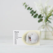 Carte de visite de cygne de Sost (Debout devant)