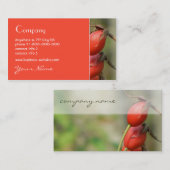 Carte de visite de cynorrhodon (Devant / Derrière)