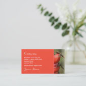 Carte de visite de cynorrhodon (Debout devant)