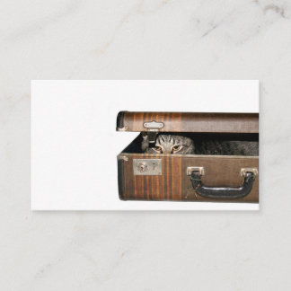 Carte de visite de déplacement de chat