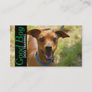 Carte de visite de dressage de chien et de garde d