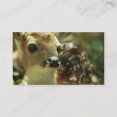 Carte de visite de faon (Dos)