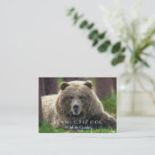 Carte de visite de faune d'ours Brown et de coyote (Debout devant)